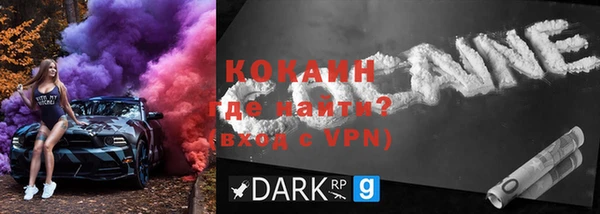 прущие грибы Гусь-Хрустальный