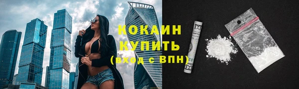 стаф Гусев