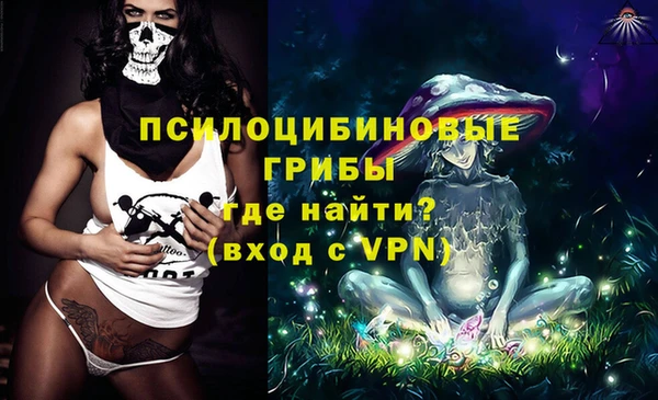 прущие грибы Гусь-Хрустальный