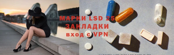 прущие грибы Гусь-Хрустальный
