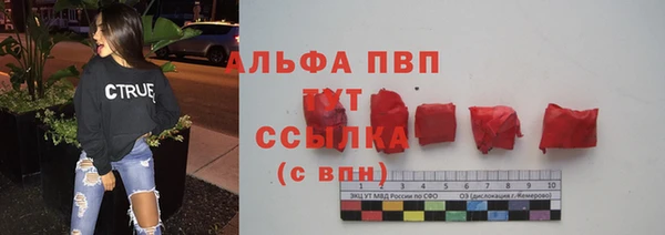 стаф Гусев