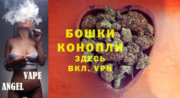 прущие грибы Гусь-Хрустальный