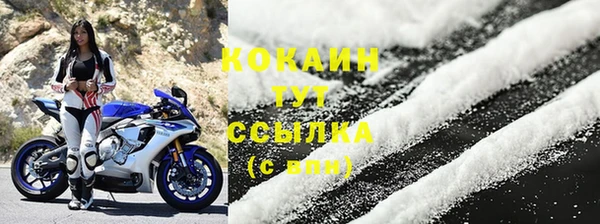 стаф Гусев