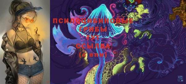 марки nbome Гусиноозёрск