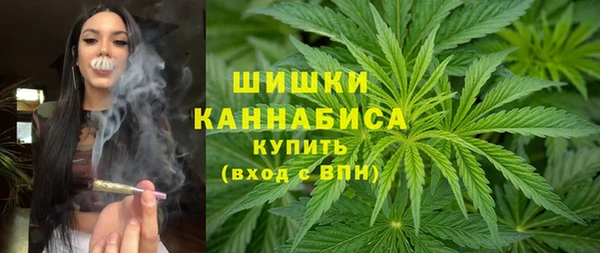 стаф Гусев