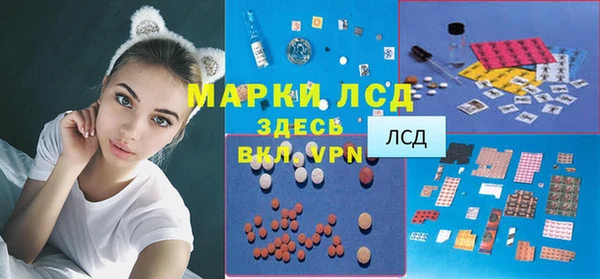 стаф Гусев