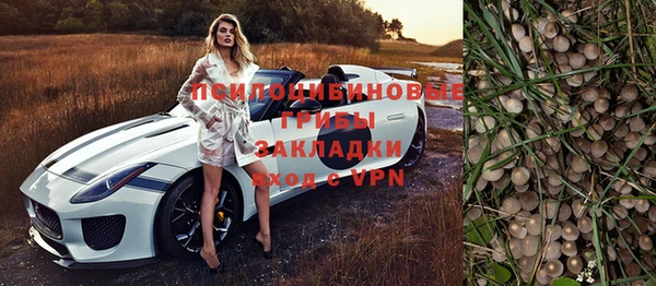 стаф Гусев
