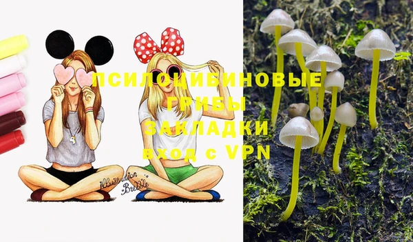 марки nbome Гусиноозёрск