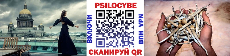blacksprut рабочий сайт  Пролетарск  Галлюциногенные грибы мухоморы 